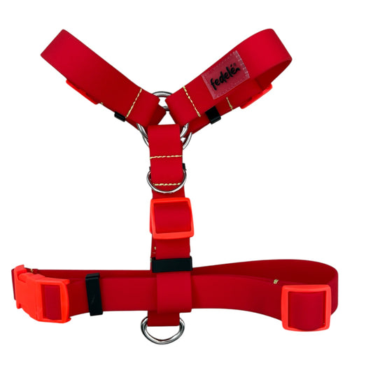 ARNES PAW PROOF ROJO