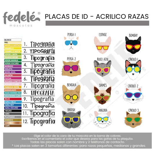PLACAS GATOS CON GAFAS