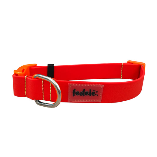 COLLAR PAW PROOF ROJO