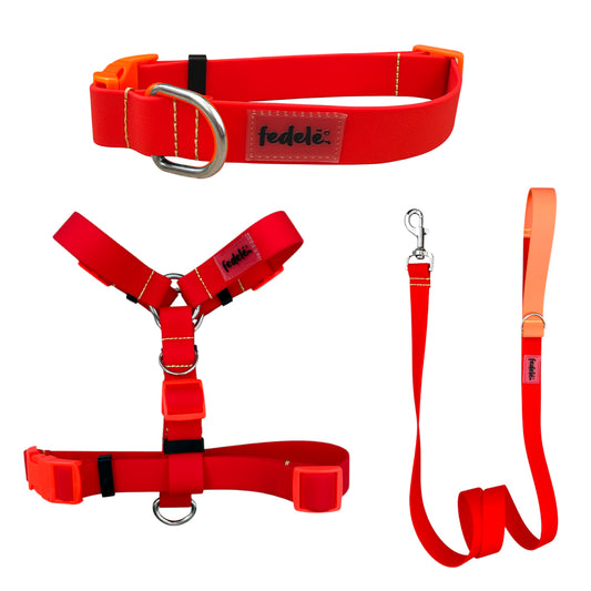 COMBO PAW PROOF ROJO