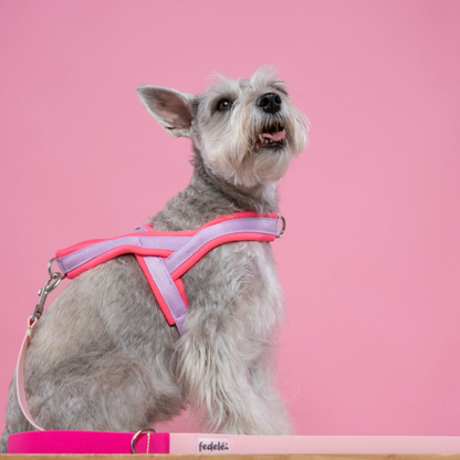 ARNES EN Y FUCSIA LILA