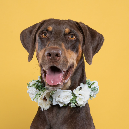 CORONA FLORAL ELEGANTE BODA