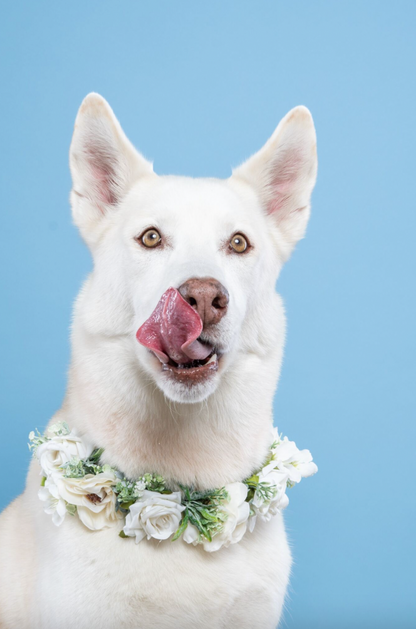 CORONA FLORAL ELEGANTE BODA