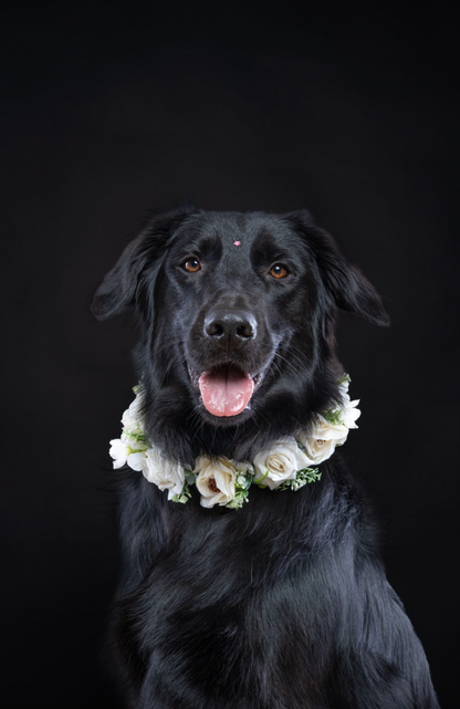 CORONA FLORAL ELEGANTE BODA