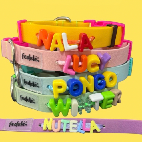 Collar en Goma Personalizado con Charms