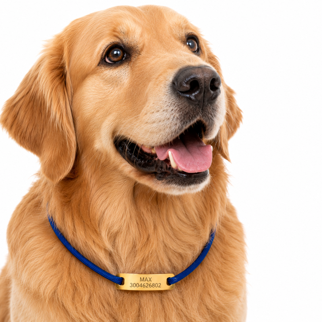 PORTA PLACA ID PARA MASCOTAS PERSONALIZABLE