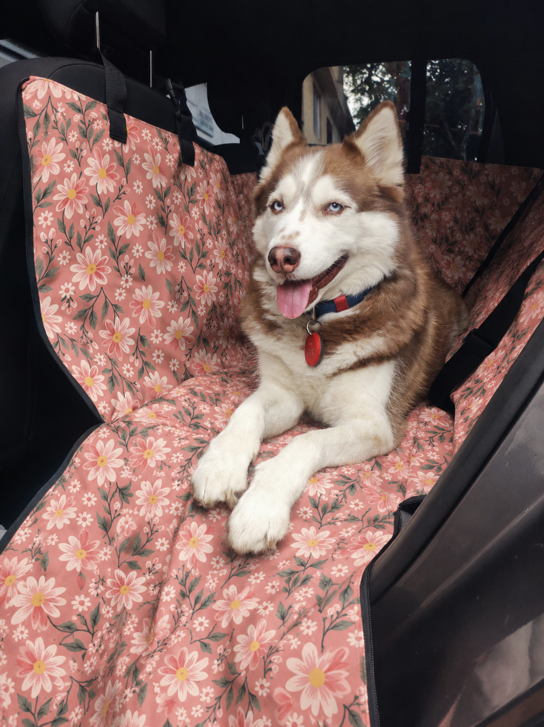 PROTECTOR DE SILLA GRANDE - Cuida tu tapicería y viaja tranquilo con tu peludo