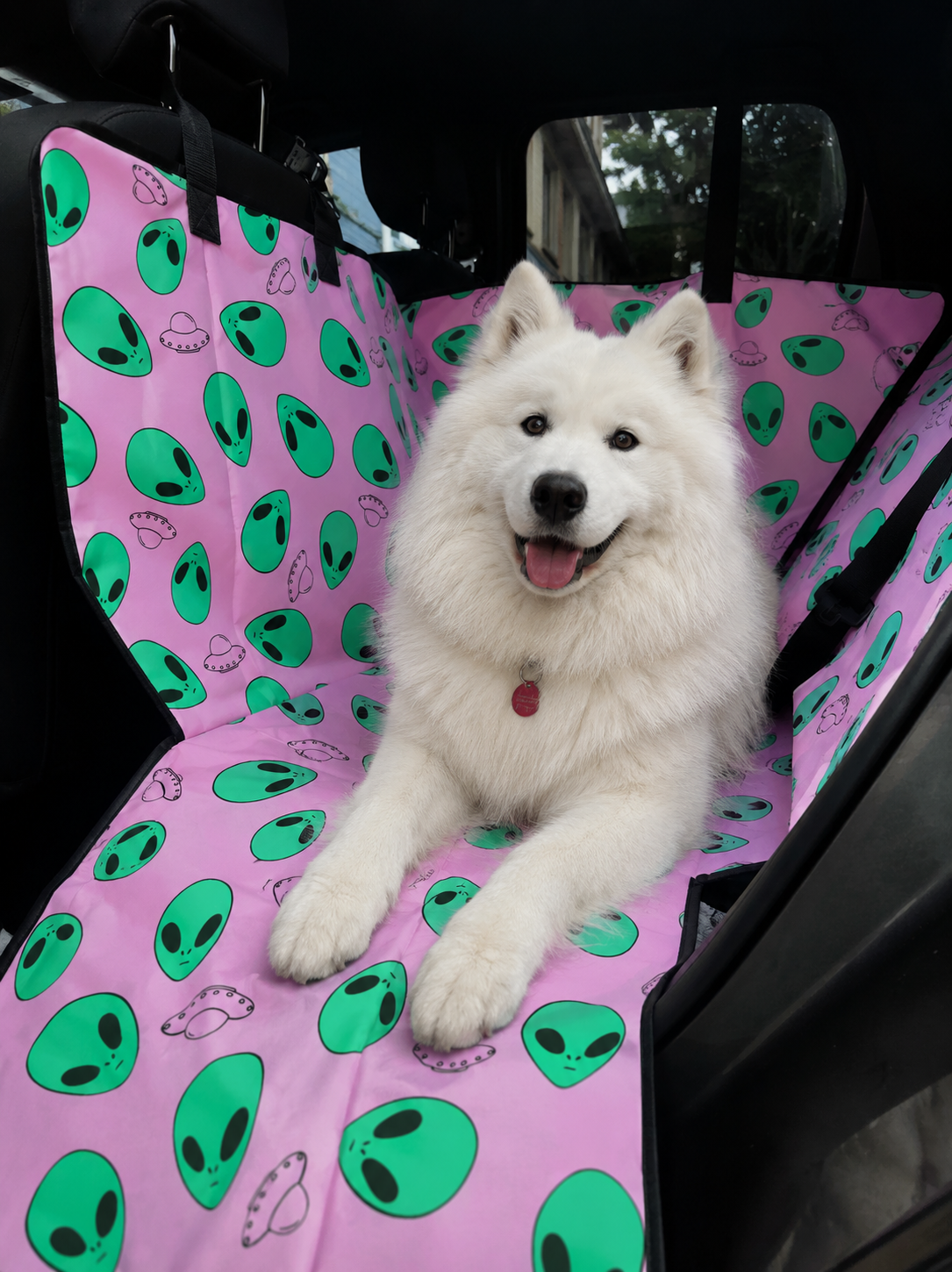 PROTECTOR DE SILLA GRANDE - Cuida tu tapicería y viaja tranquilo con tu peludo