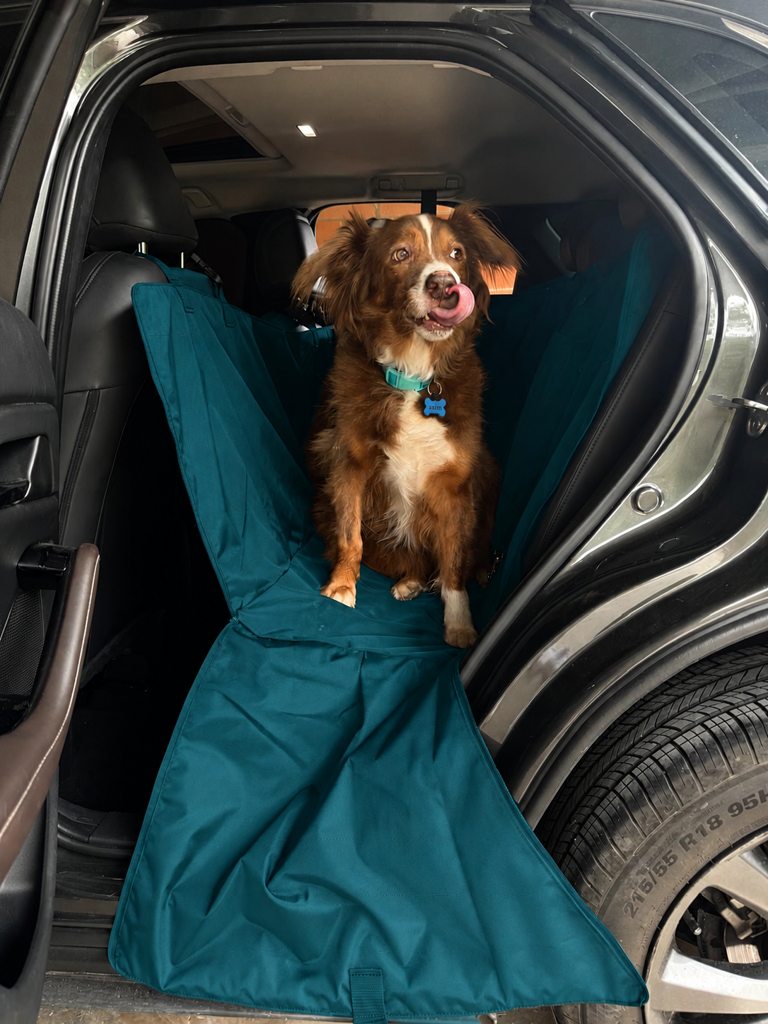 PROTECTOR DE SILLA GRANDE - Cuida tu tapicería y viaja tranquilo con tu peludo