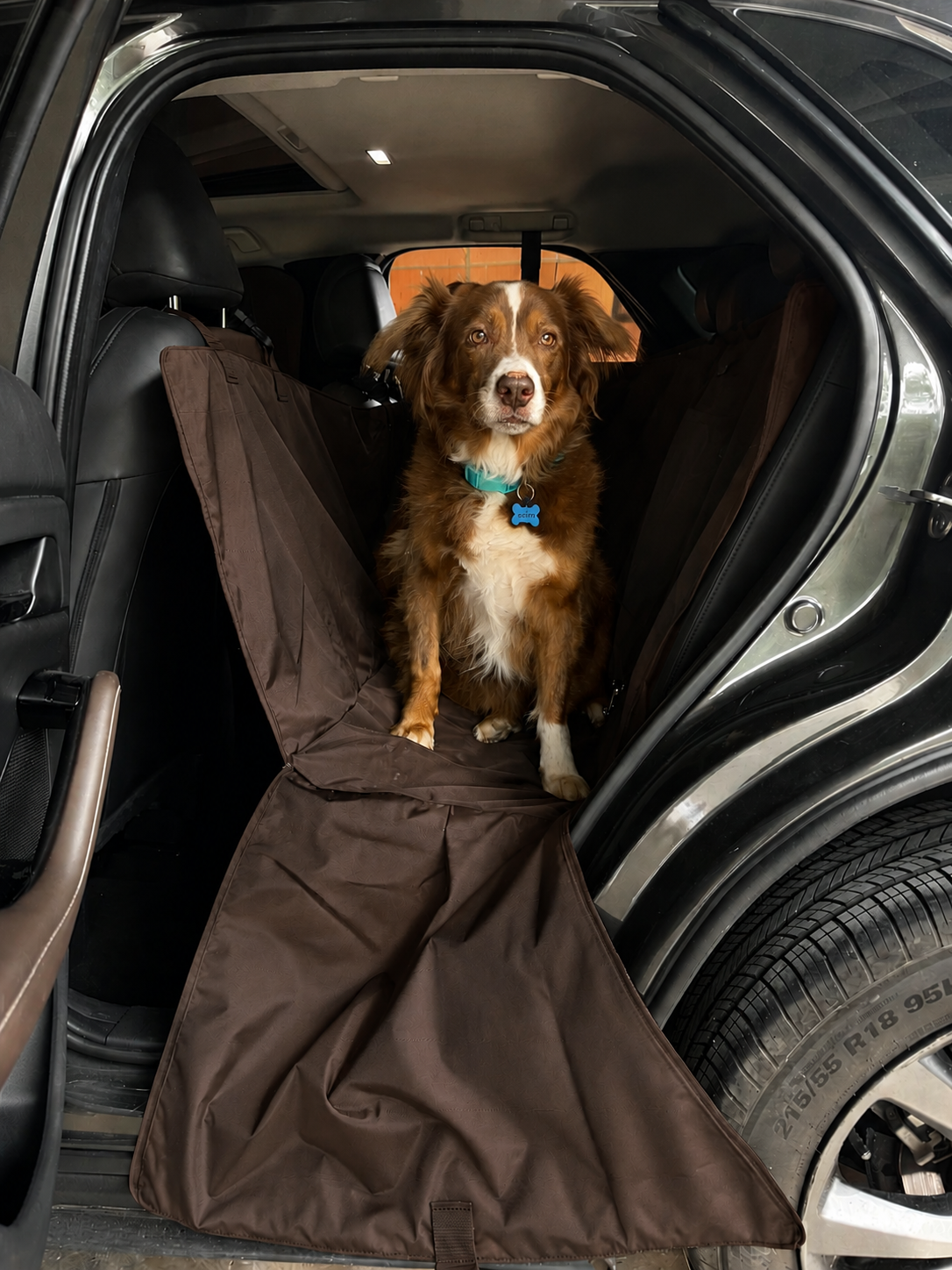 PROTECTOR DE SILLA GRANDE - Cuida tu tapicería y viaja tranquilo con tu peludo