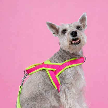 ARNES EN Y NEON FUCSIA