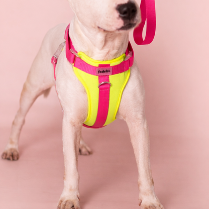 PECHERA NEON FUCSIA