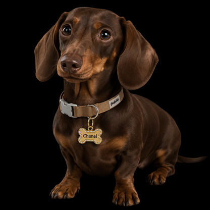 PLACA ID EN ACERO DE LUJO PARA MASCOTAS