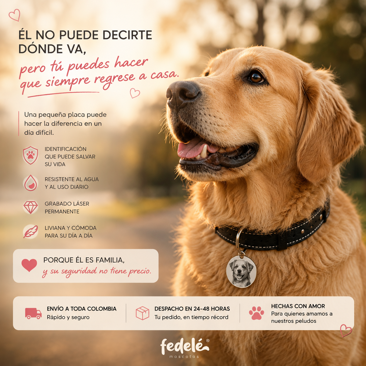 PLACA ID FOTO PERSONALIZADA PARA MASCOTA