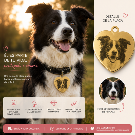 PLACA ID FOTO PERSONALIZADA PARA MASCOTA