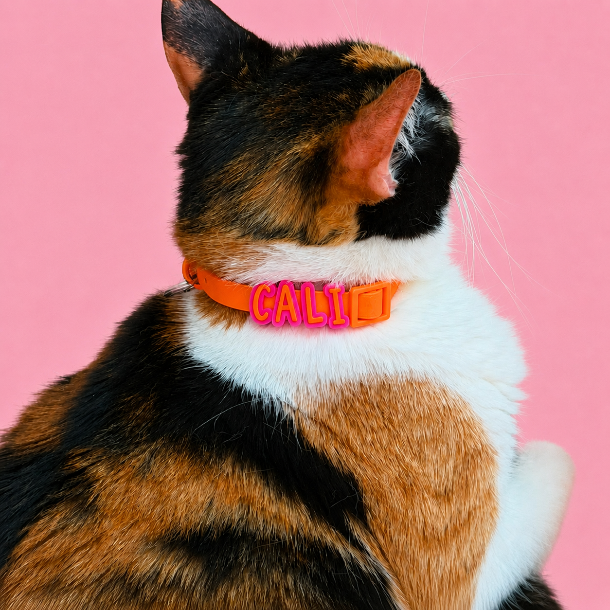 Collar en Goma Personalizado con Charms Deluxe Gato