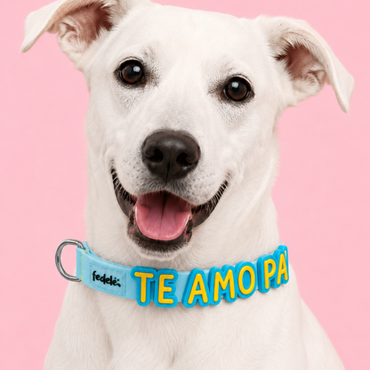 Collar en Goma Personalizado con Charms Deluxe