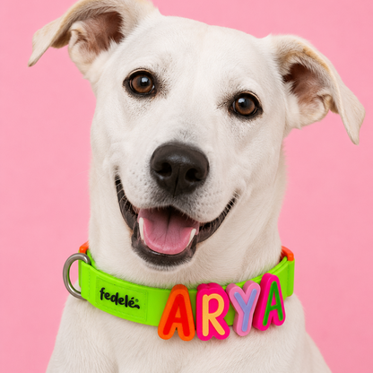 Collar en Goma Personalizado con Charms Deluxe
