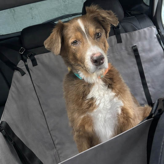 PROTECTOR DE SILLA MEDIANO