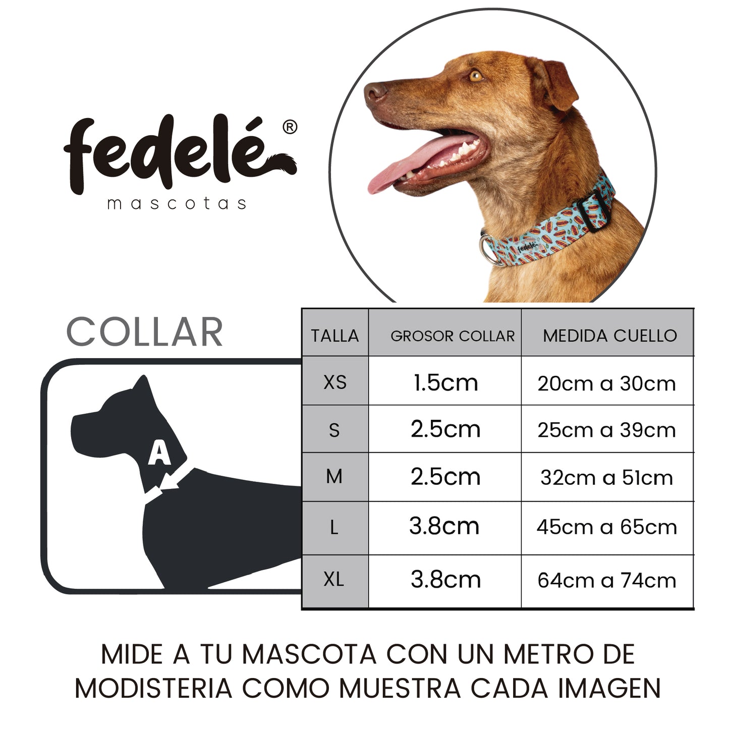 GUIA COLLAR