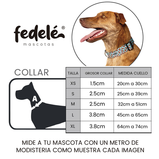 GUIA COLLAR