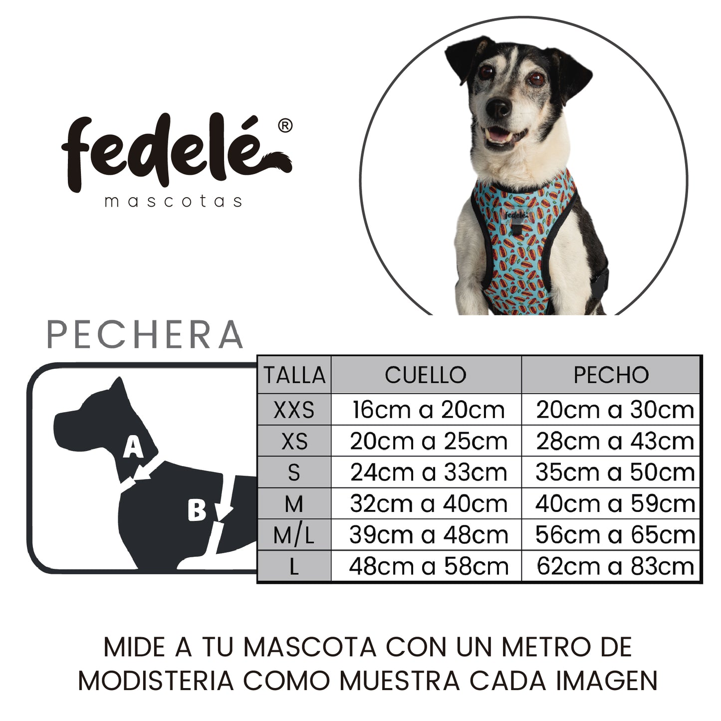 GUIA PECHERA
