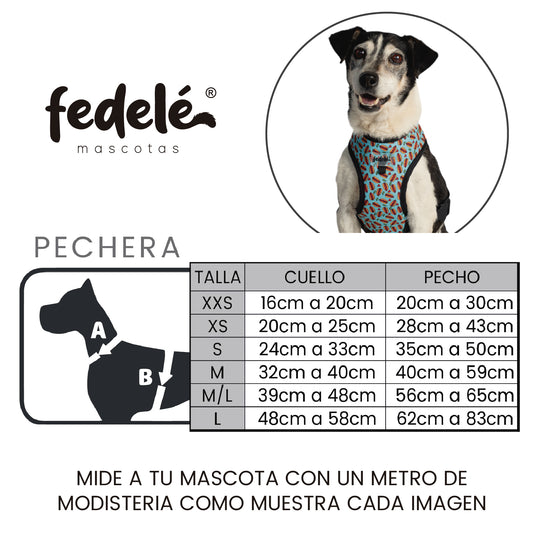 GUIA PECHERA