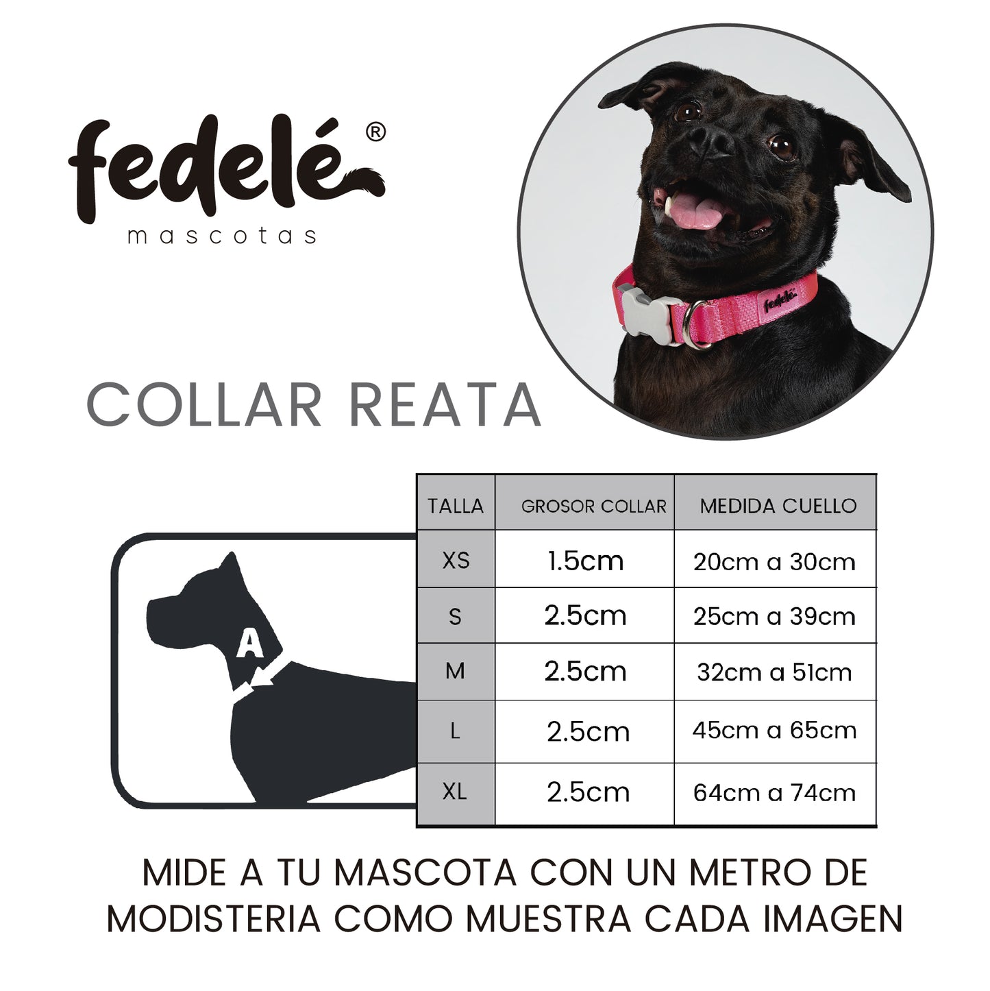 GUIA COLLAR REATA
