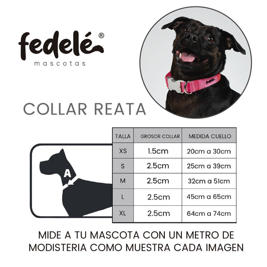 GUIA COLLAR REATA