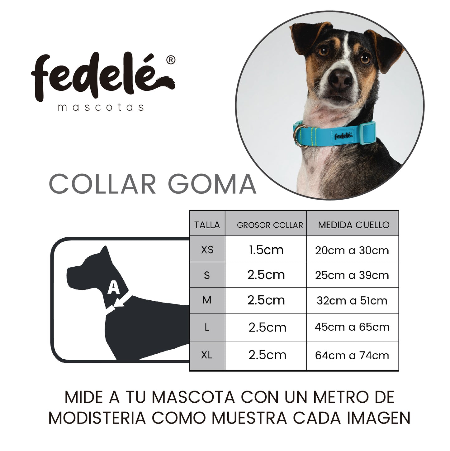 GUIA COLLAR GOMA