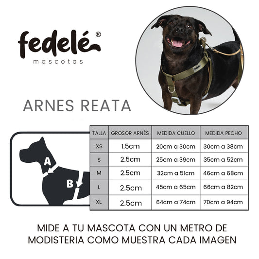 GUIA ARNES REATA