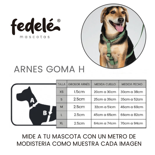 GUIA ARNES GOMA H