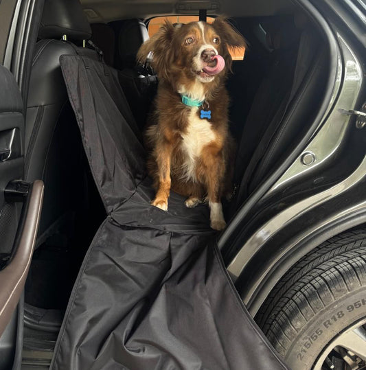 PROTECTOR 2 EN 1 (GRANDE A PEQUEÑO)