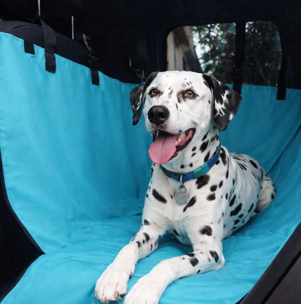 PROTECTOR DE SILLA GRANDE - Cuida tu tapicería y viaja tranquilo con tu peludo