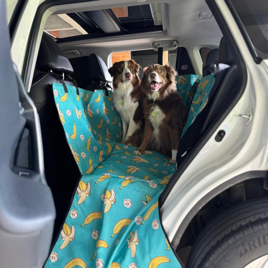 PROTECTOR DE SILLA GRANDE - Cuida tu tapicería y viaja tranquilo con tu peludo