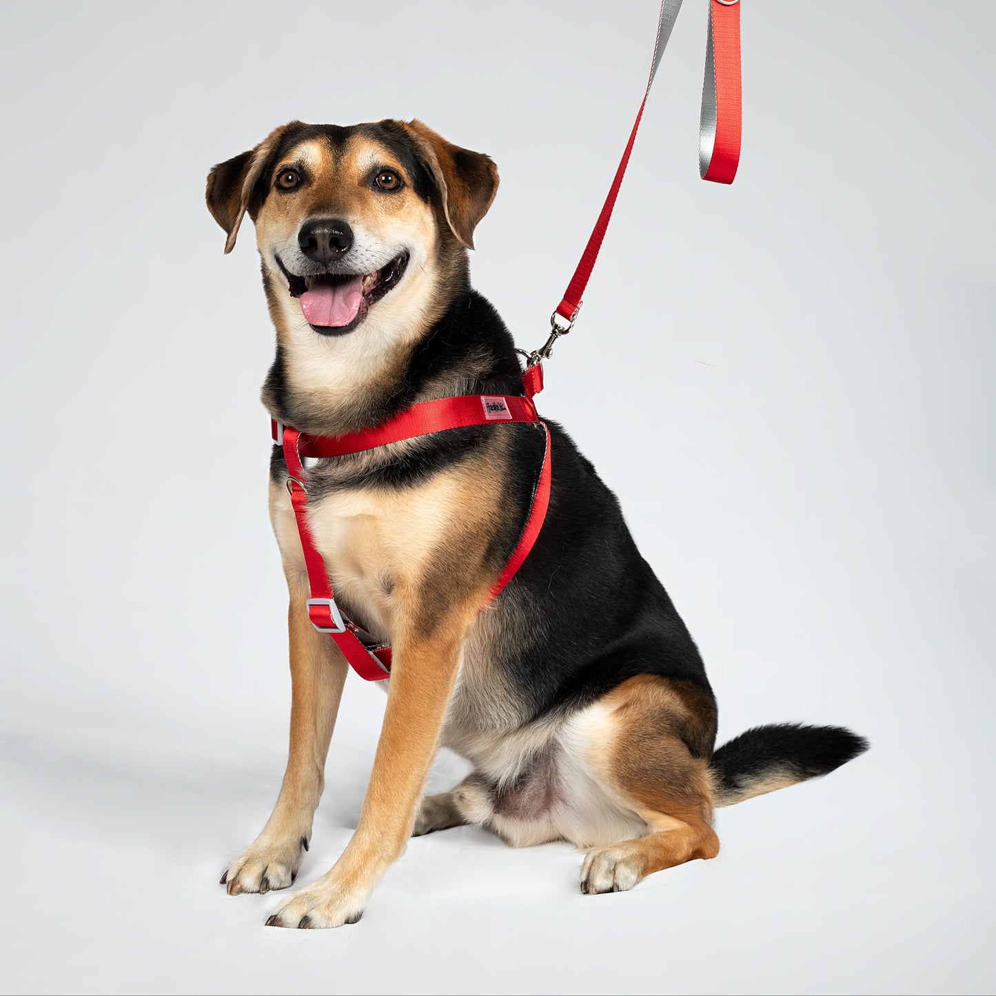 ARNES REATA BASIC ROJO - GRIS