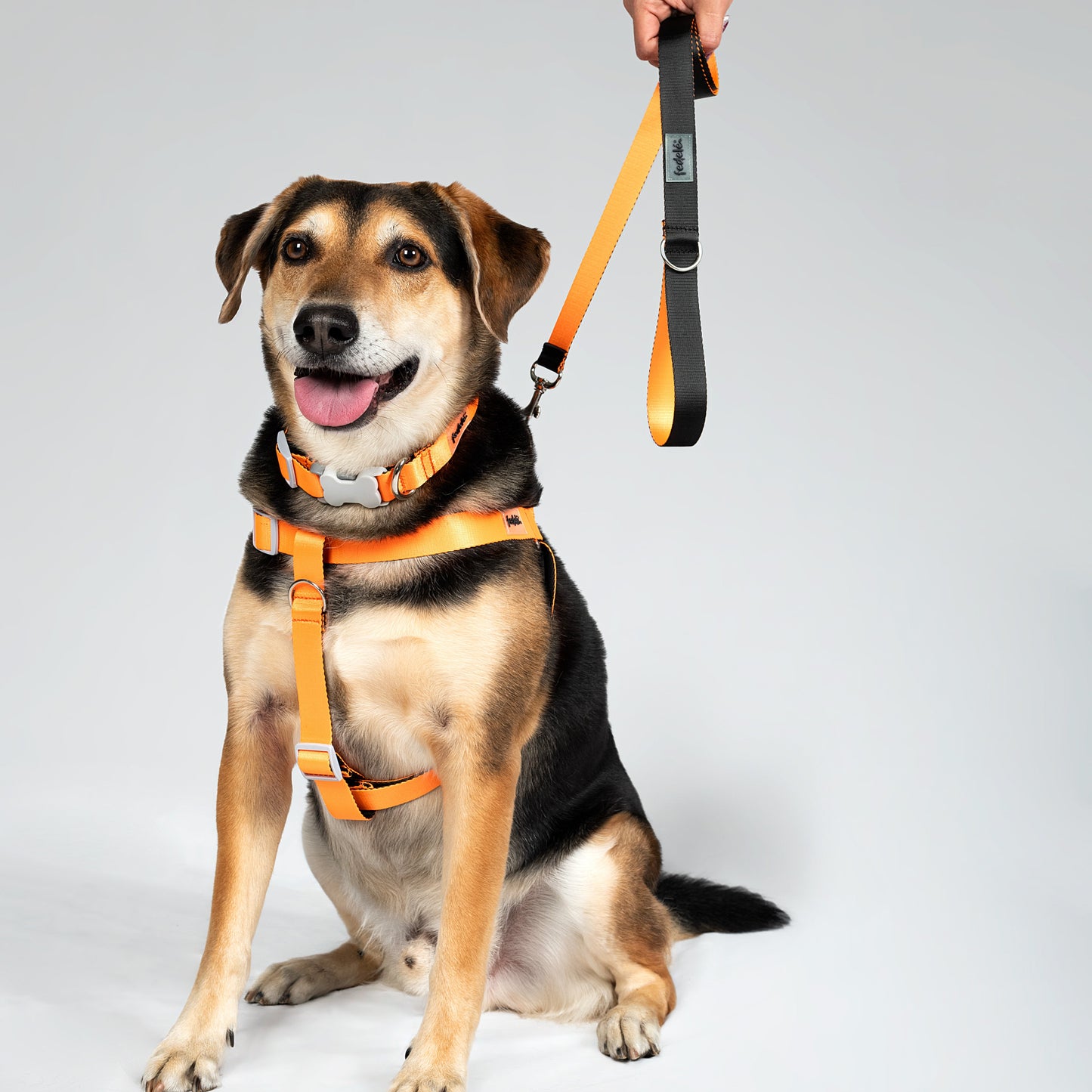 ARNES REATA BASIC NARANJA - NEGRO