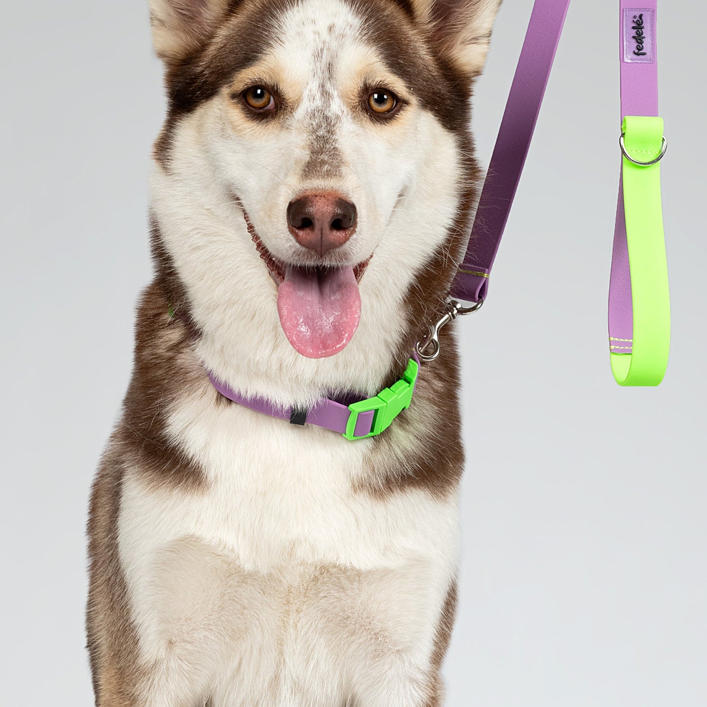 COLLAR PAW PROOF LILA