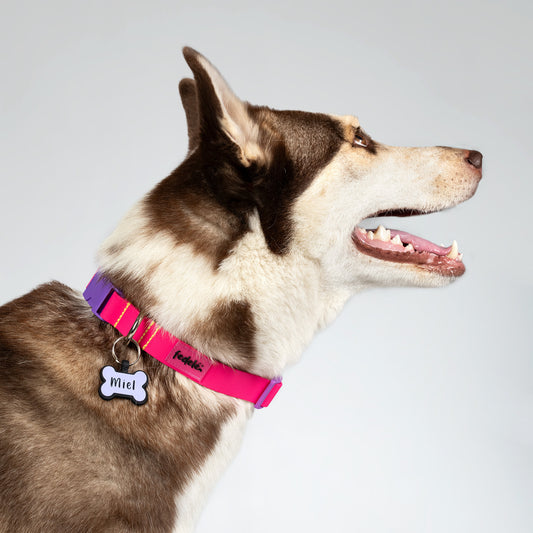 COLLAR PAW PROOF FUCSIA