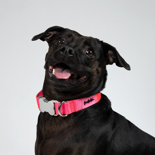 COLLAR BASIC FUCSIA-ROSA