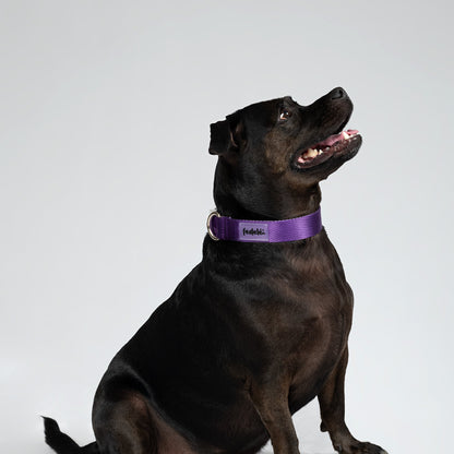 COLLAR BASIC MORA-LILA