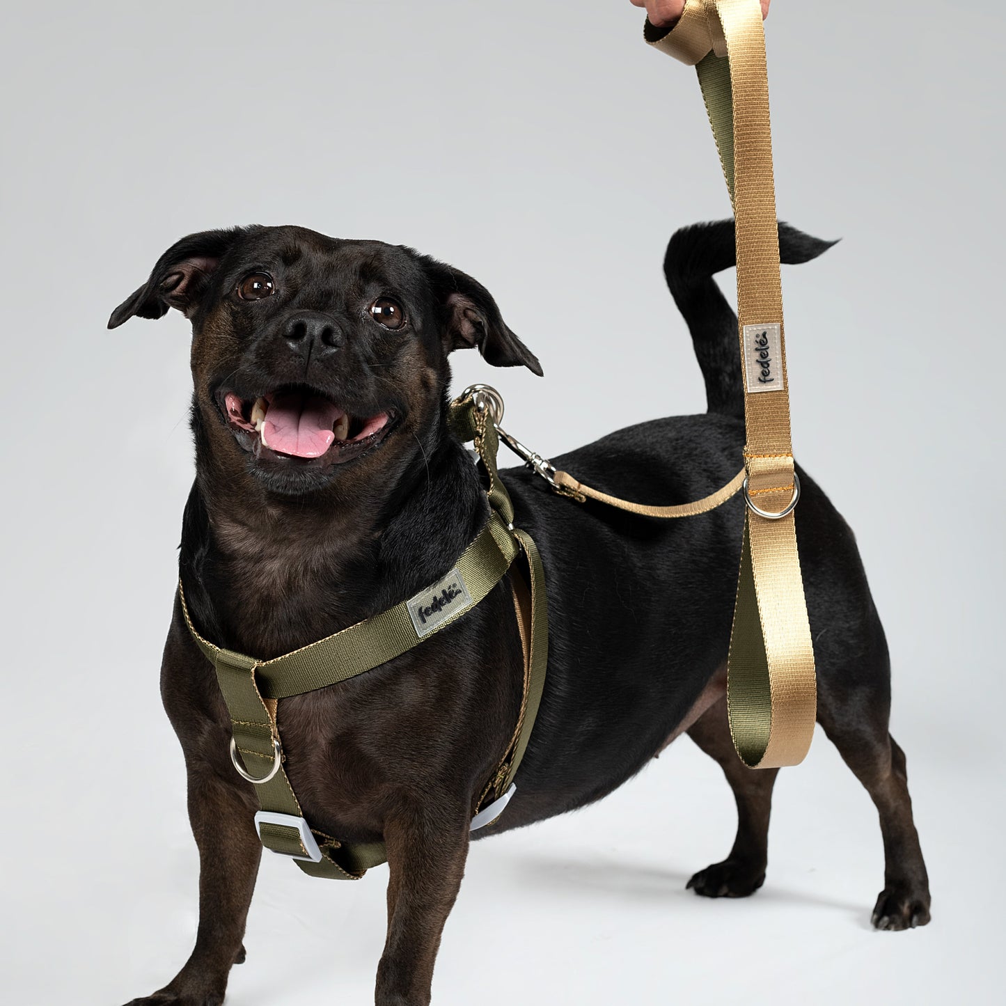 ARNES REATA BASIC MILITAR - BEIGE