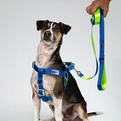 ARNES REATA BASIC AZUL - NEON