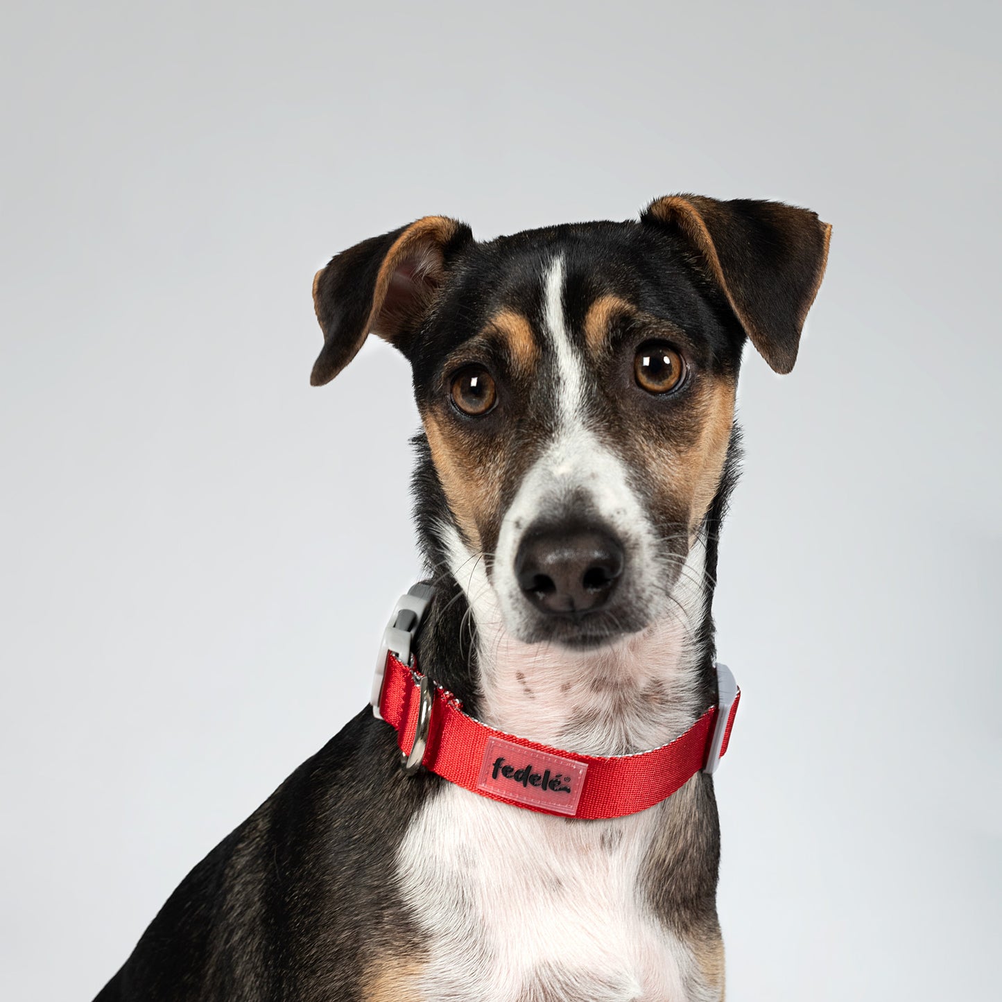 COLLAR BASIC ROJO - GRIS