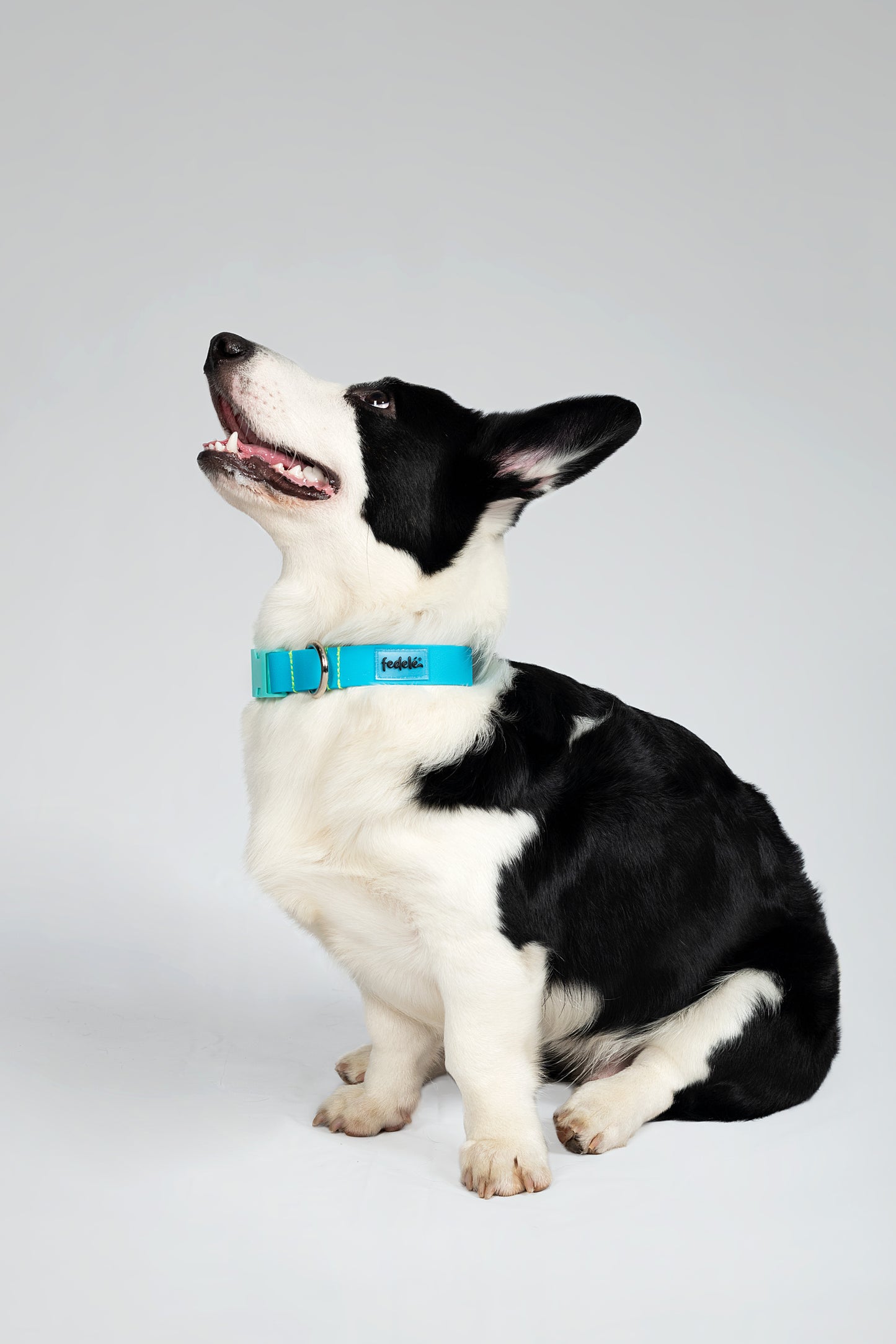 COMBO PAW PROOF AZUL MARINO