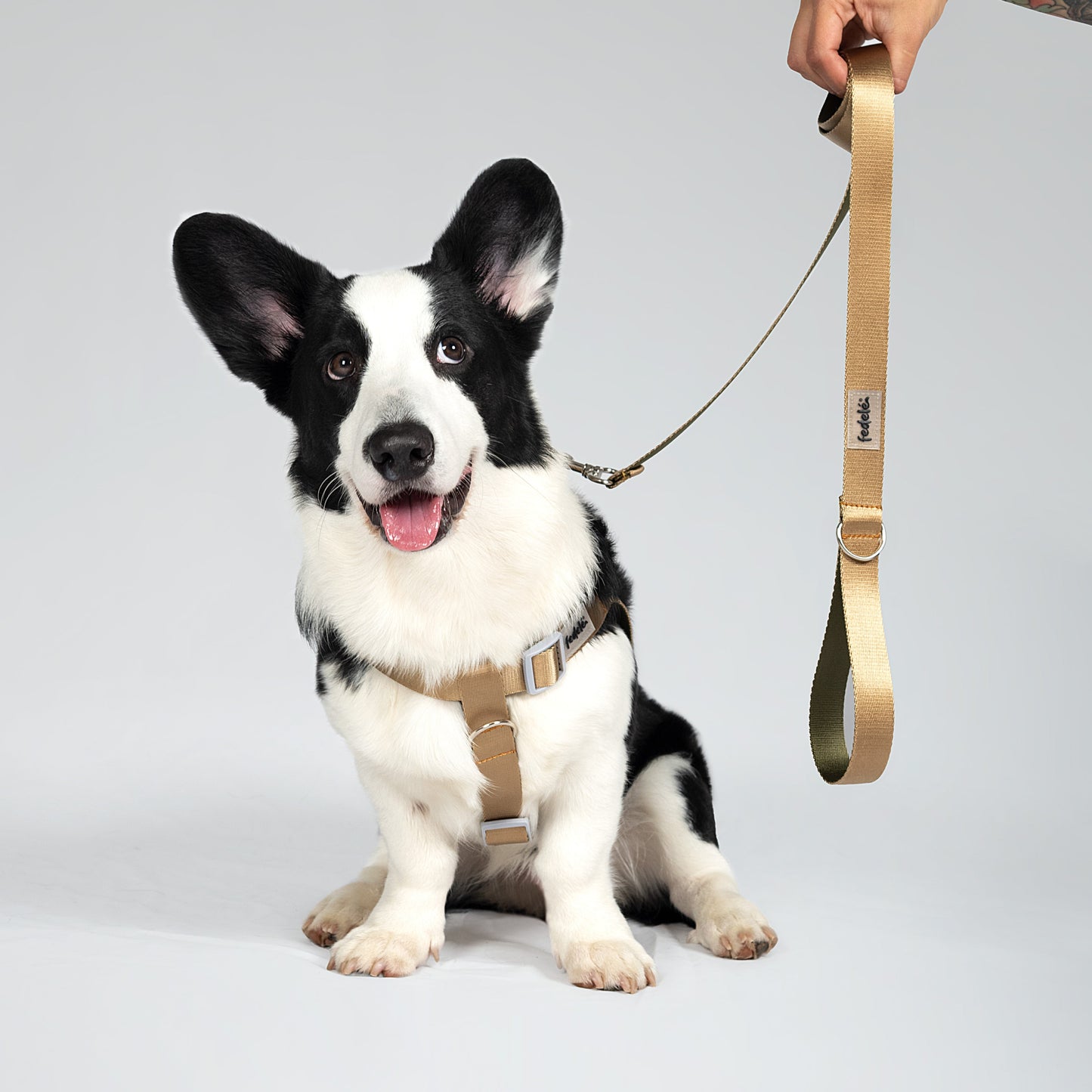 ARNES REATA BASIC BEIGE - MILITAR