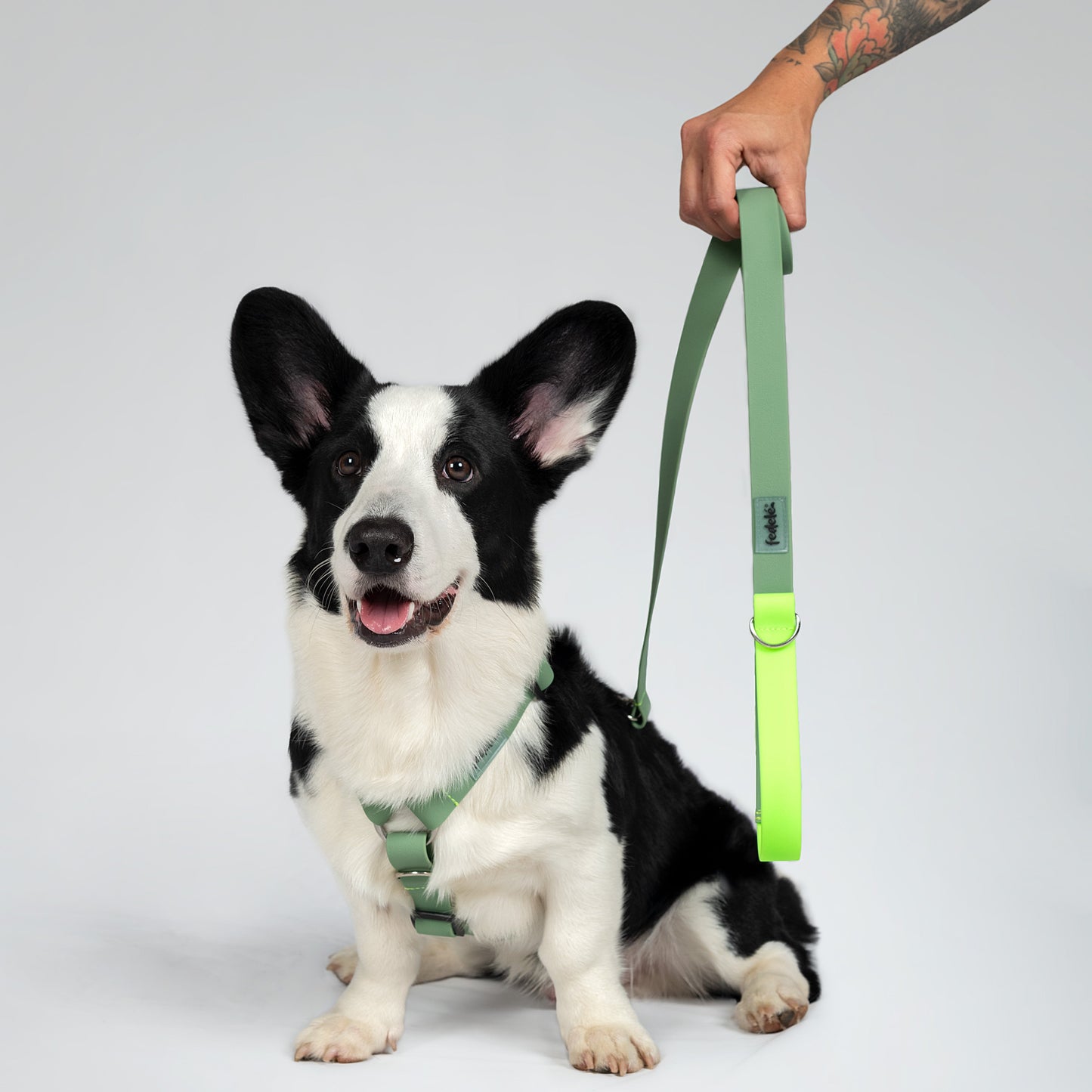 COMBO PAW PROOF MILITAR