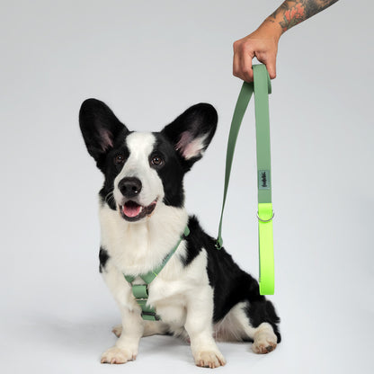 COMBO PAW PROOF MILITAR