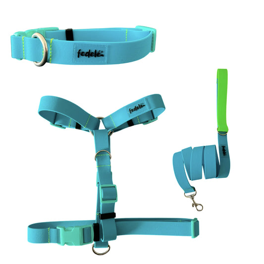 COMBO PAW PROOF AZUL MARINO