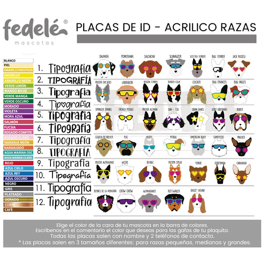 PLACAS PERRITOS CON GAFAS